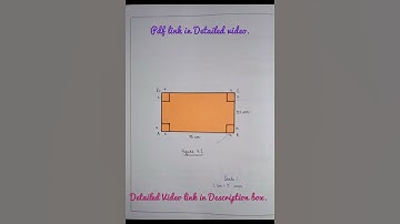 Activity 3 and 4 Maths Practical Class 12th