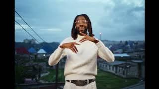 Jay Rox Feat T-Low - Shandi (Visualizer)