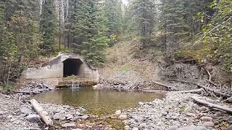 Nordegg atv Rail trail tunnel west of new taunton/fortner train trussel about 8kms west from bridge.