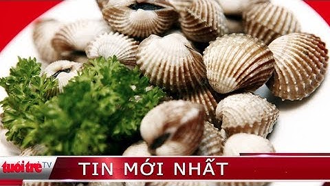 ⚡ Phóng sự | Cà Mau báo động tình trạng trộm sò giống