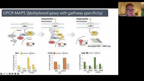 "Understanding GPCRs with massive mutagenesis" - Taylor Mighell