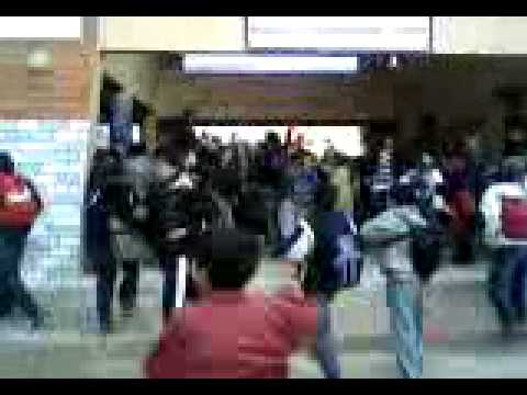 Rachid Mestaoui Ma3a Ghaza Chafi3i