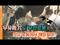 우유짜기 도 무인로봇 착유 노동에서 해방될까 TJB 대전 세종 충남뉴스 우유짜기 도 무인로봇 착유 노동에서 해방될까 TJB 대전 세종 충남뉴스