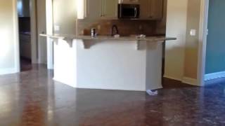 113 Victoria Ln video tour