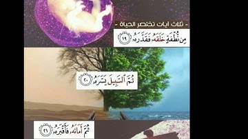 ثلاث آيات تختصر الحياة ،من نطفة خلقه فقدره،ثم السبيل يسره،ثم أماته فأقبره