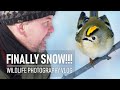Finally some Wildlife Photography in a Wintery Landscape | Wildlife Photography Vlog