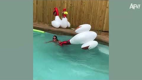 Try Not to Laugh Challenge 🤣 Best Fails of April 2025