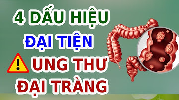 ĐẠI TIỆN CÓ 4 DẤU HIỆU NÀY LÀ CẢNH BÁO UNG THƯ ĐẠI TRÀNG | EVA COCO