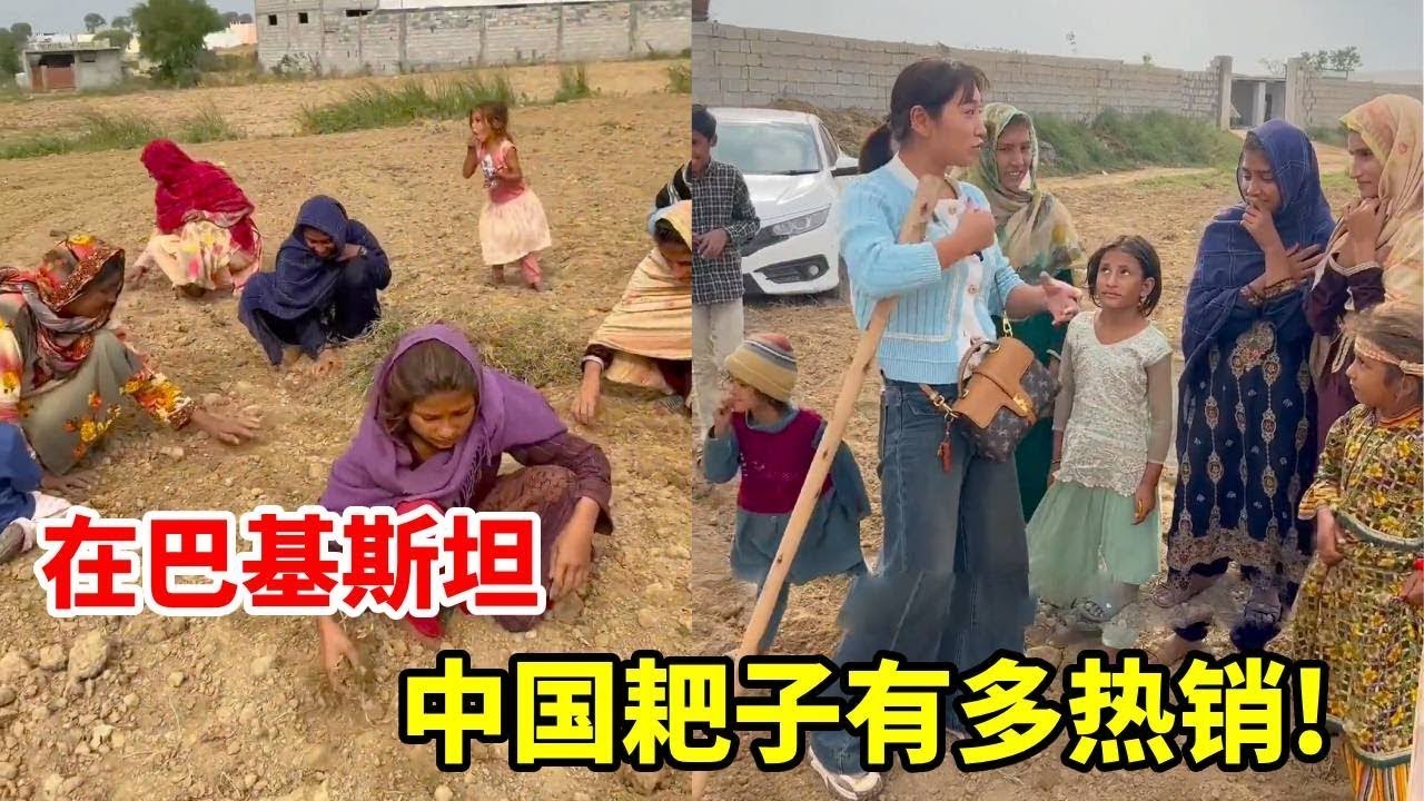 巴铁兄弟除草还是靠手捡，黑妞看了连忙拿出中国耙子！没想到巴铁兄弟争着抢着要购买#funny #巴基斯坦 #段子 【黑妞在巴基斯坦】