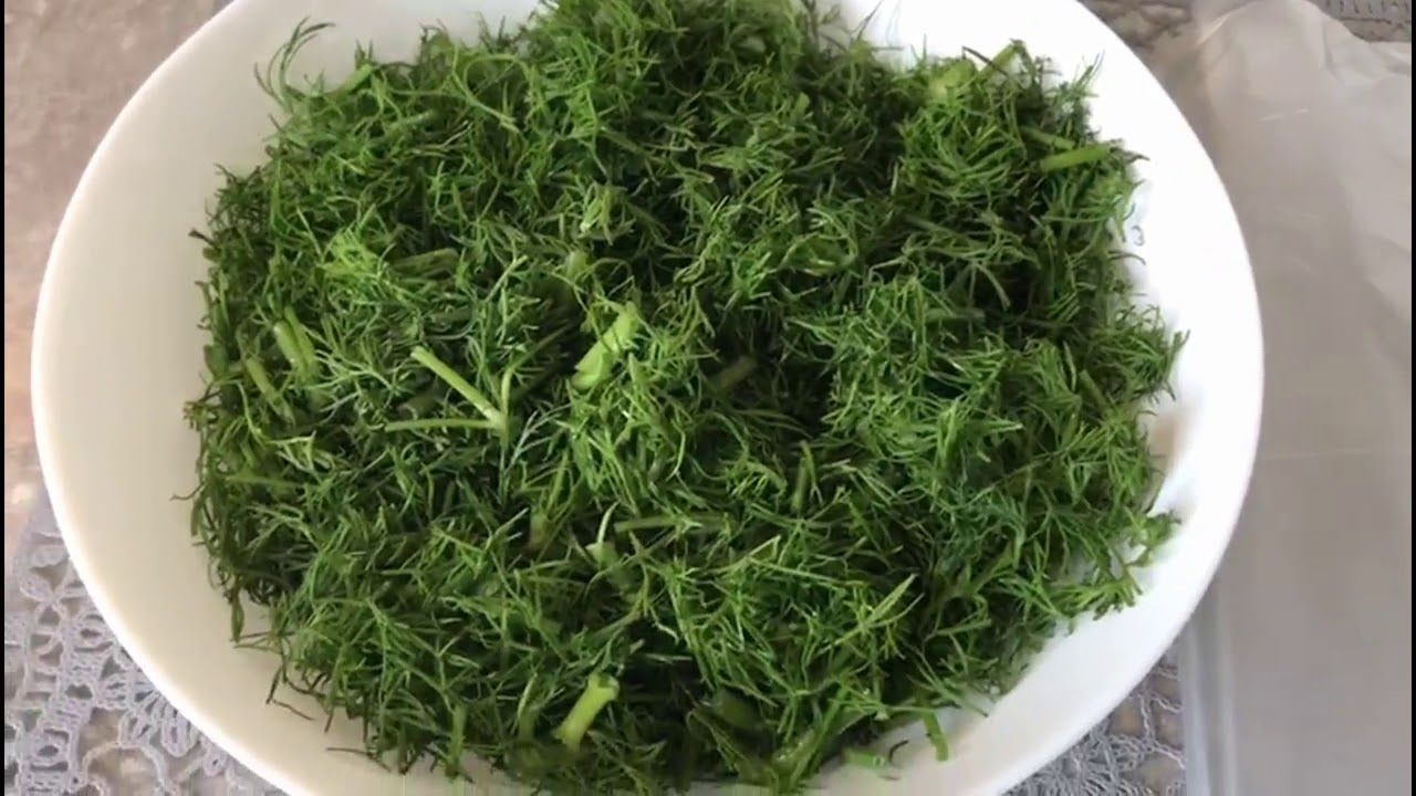 طريقة حفظ وتفريز الشبت / الشبنت تجعله يبدوا طازجا