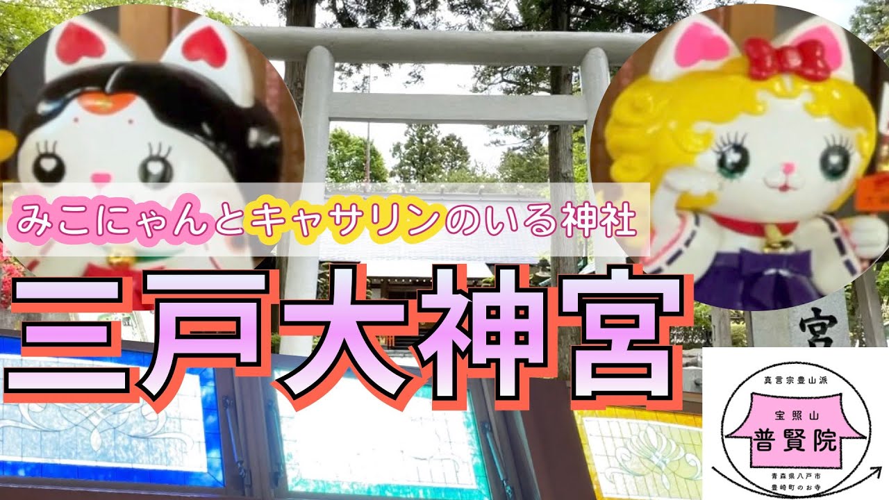 みこにゃん333様専用 【公式通販】