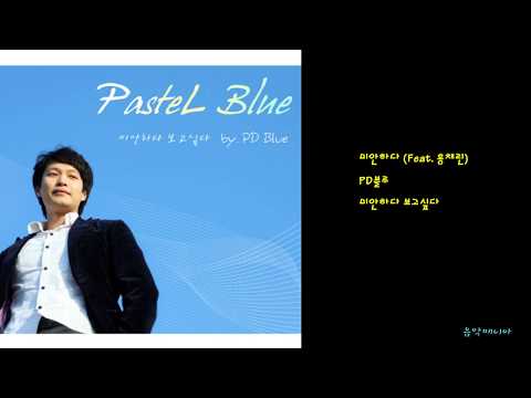 PD블루 - 미안하다 (Feat. 홍채린)