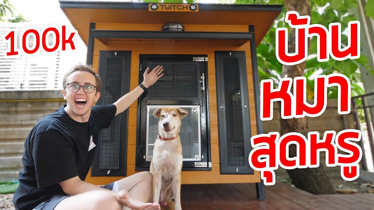 ได้แล้ว!! บ้านหมาสุดหรู…..โคตรใหญ่อลังการ!!