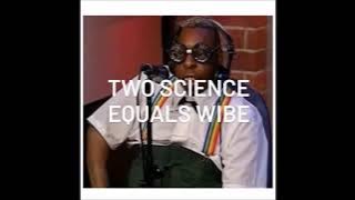 DJ Wibe - TSEW (DJ Friendly Beetlejuice Remix)