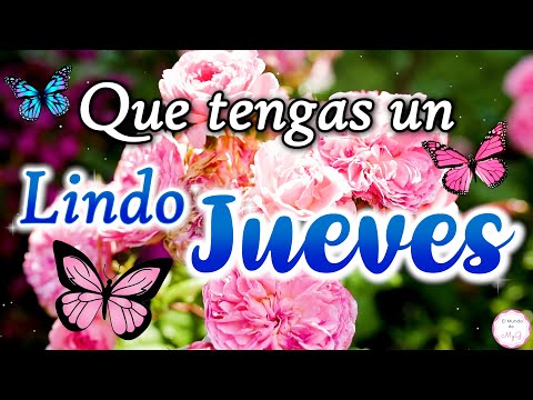 Feliz JUEVES 💖PARA