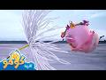 بذور الهندباء الطائرة لنشاهدها المزيد من الحلقات كومو لديه فضول لعب الأشياء mp3