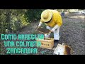 Como arreglar una colmena Zanganera/ JOSE GALVEZ/APICULTURA