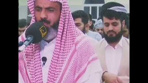 (ويوم يحشرهم وما يعبدون من دون الله) تلاوة عراقية رائعة جدا للقارئ عمر عبدالله حالات واتساب