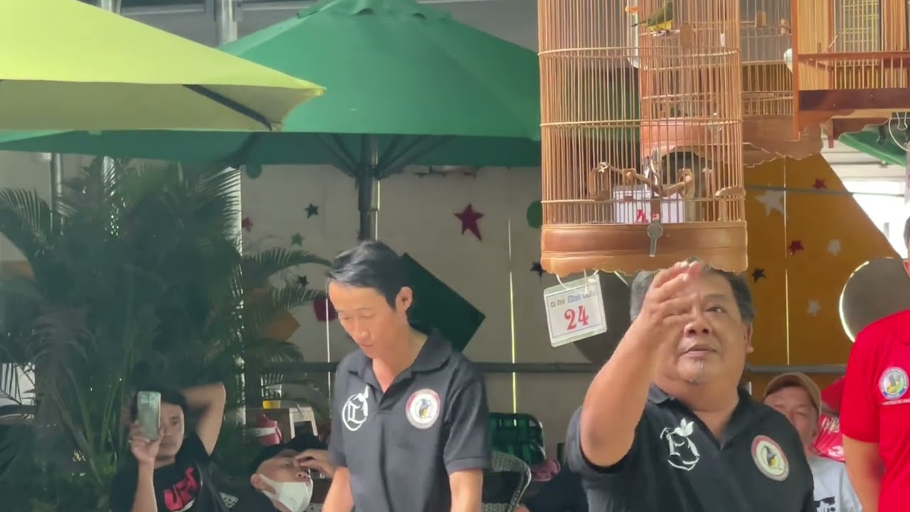 Giải hút mật 5 màu mở rộng Gò Dầu Tây Ninh ngày 10/9