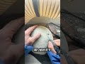 石の中に眠っていたもの