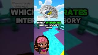 Neuroscience behind interoceptive problems in autism
