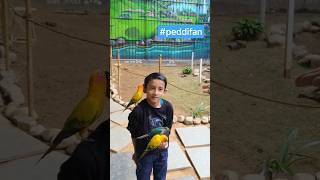 #TrendingAudio #ReelsIndia #ShortsTrend #ramcharan #peddy #genalpha