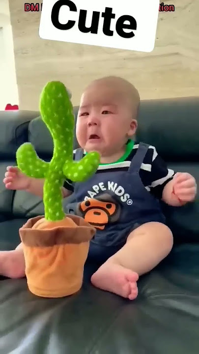 bayi lucu mainan kaktus 🌵 lucu #bayilucu #bayi #shorts