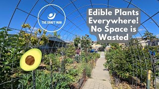 A Tour of a Tiny Jungle Full of Edible Plants!