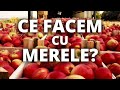 Cu merele, în frigidere. Producătorii moldoveni se plâng că nu au ce face cu fructele