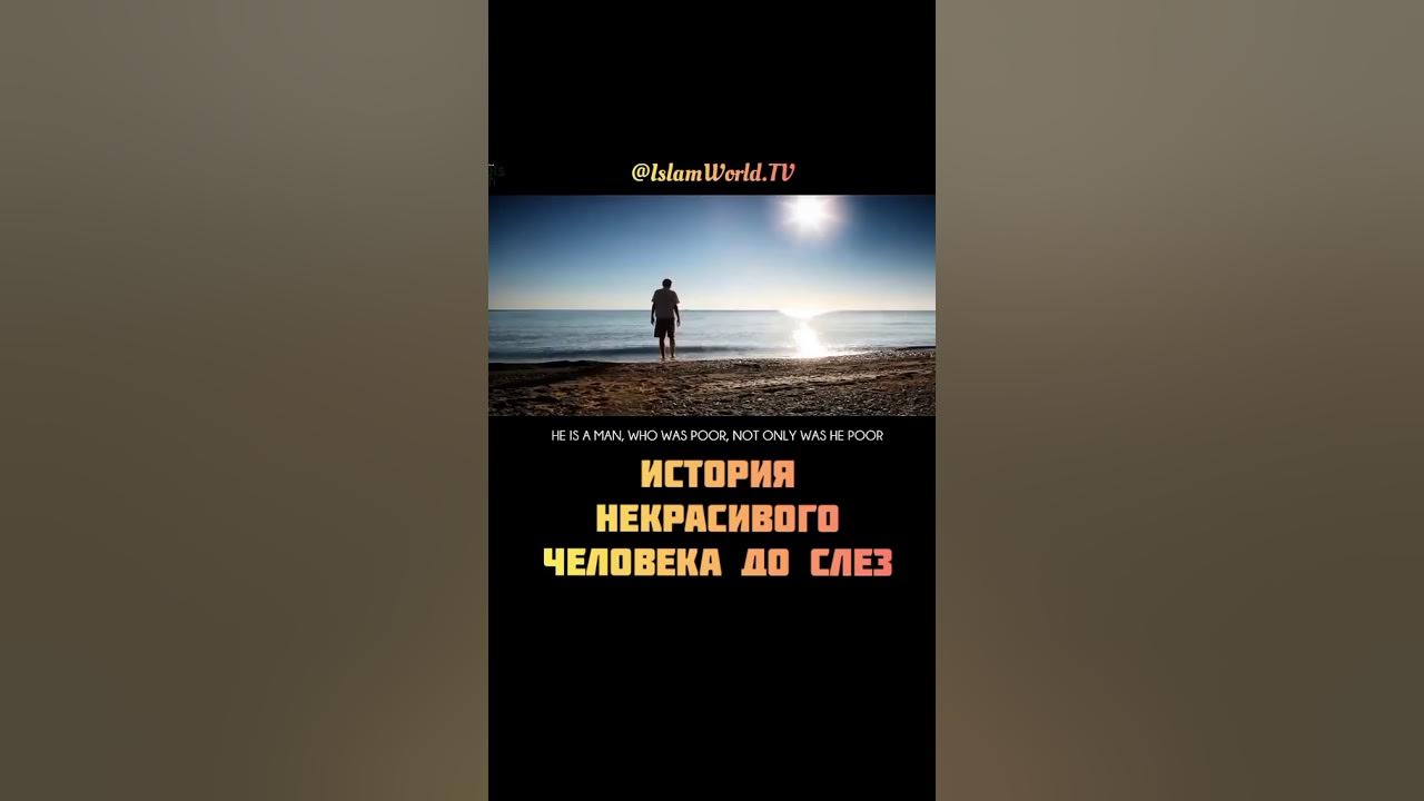 Джулейбиб шейх сулейман хайруллаев. Джулейбиб. История джулейбиба. Джулейбиба. Джулейбиба.