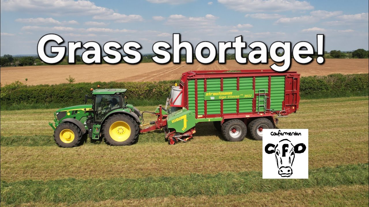 Silage making with forage wagons.