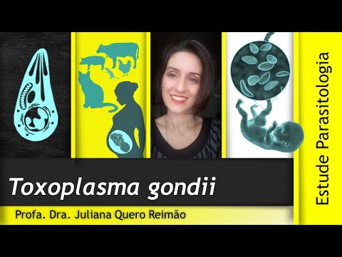 Aula sobre Toxoplasma gondii e Toxoplasmose