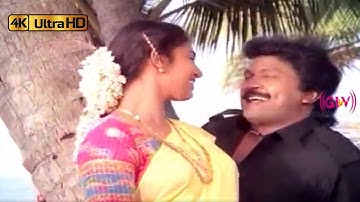 அந்தியில வானம் தந்தனத்தோம் போடும் பாடல் | Andhiyile Vaanam song | Swarnalatha, Mano | Chinnavar .