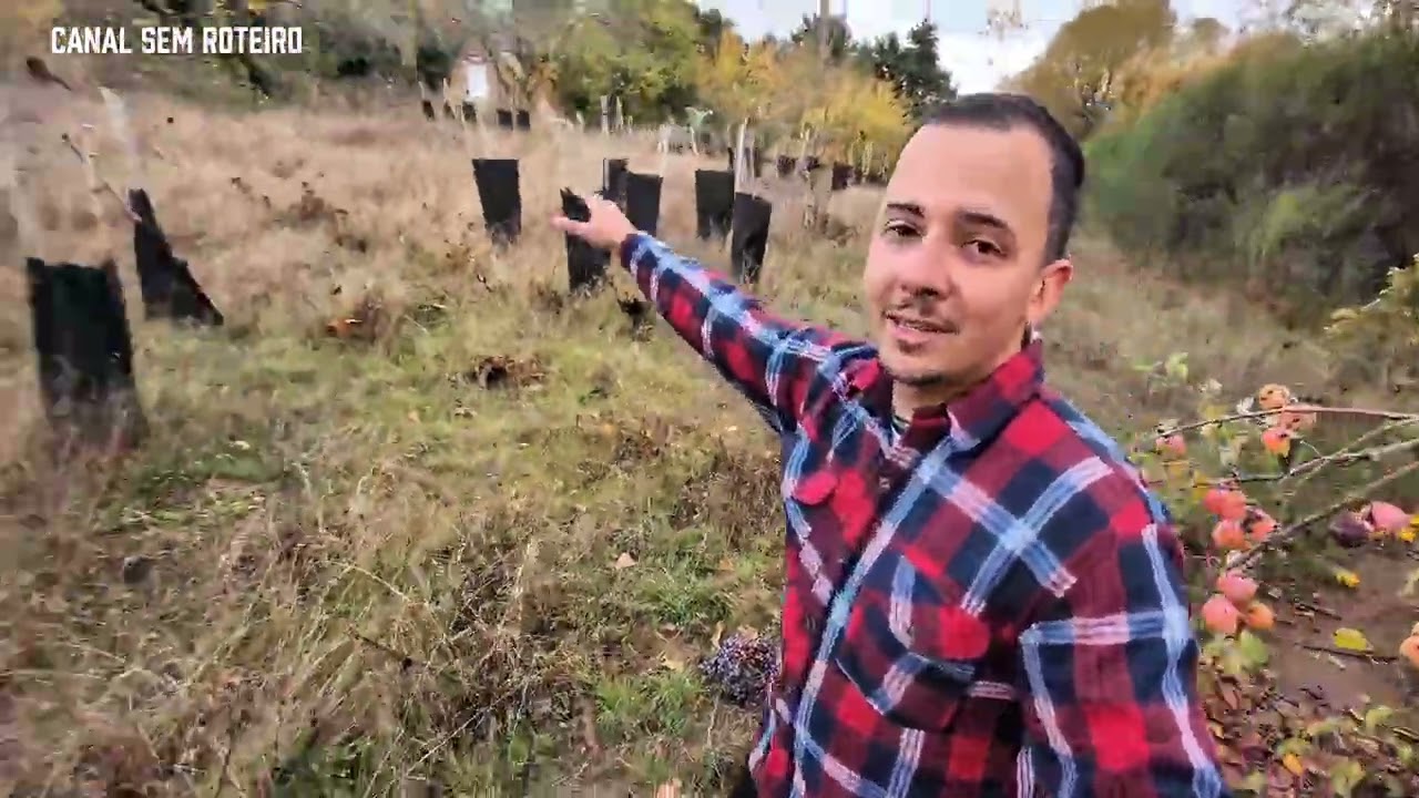 POR QUE VIEMOS MORAR NO CHILE ? A VERDADE SOBRE PORTUGAL QUE NÃO LHE CONTAM EM 2025