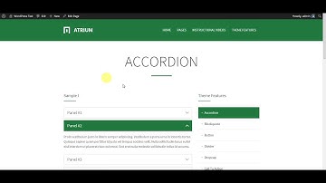 Atrium - Responsive One Page WordPress Theme: Global page settings