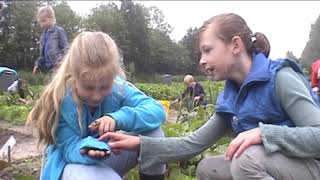 project schooltuinen avi