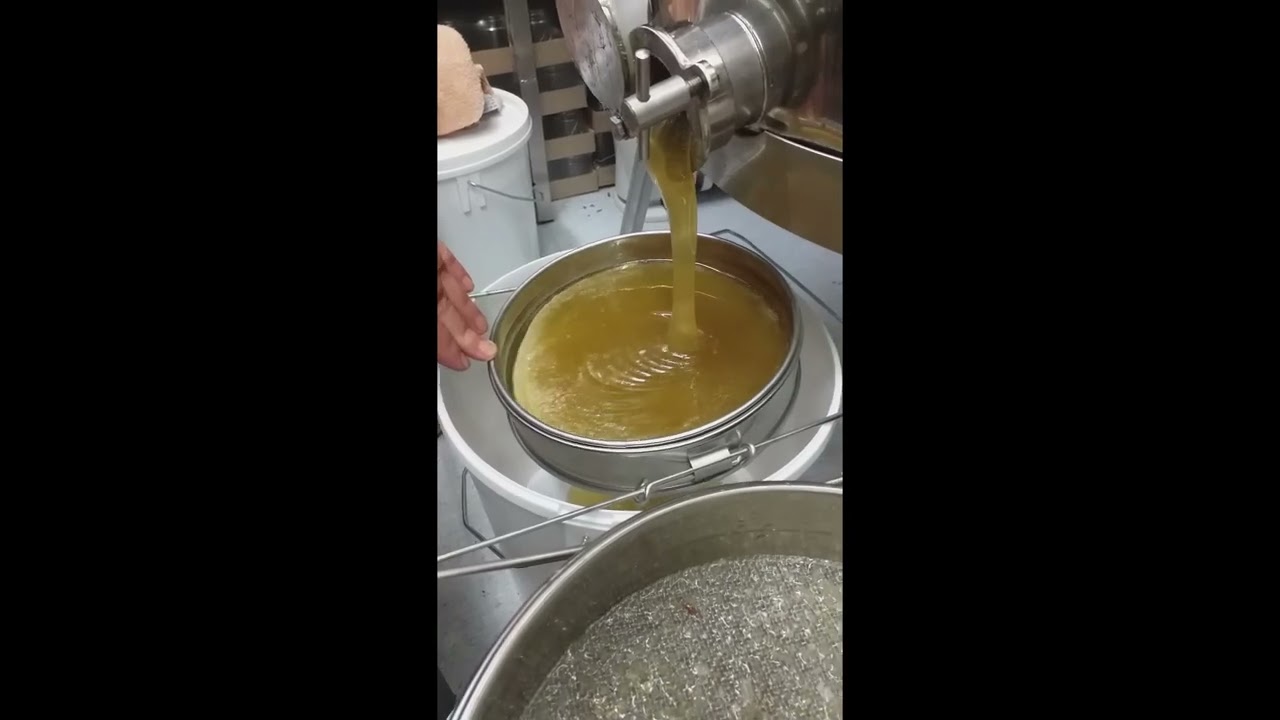 Filtering Honey with Dermot O'Flaherty of Westport Honey