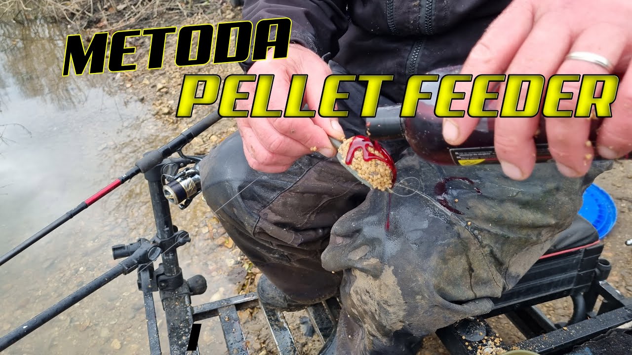METODA i PELLET FEEDER - Trening przed zawodami