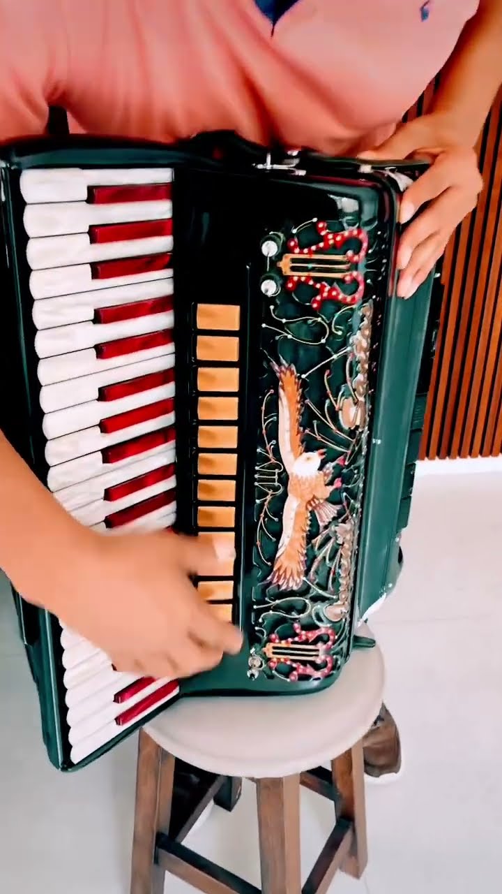 https://rifei.com.br/acordeon-melody-president