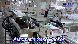automatic ice cream box case packing machine with servo collation and robotic case loading system