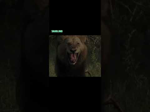 ماذا حدث لأكبر عصابة لسرقة الحيوانات في العالم نهاية غير متوقعة