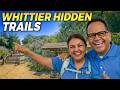 Best Whittier Hiking Trails | Hidden Gems in Whittier Hills