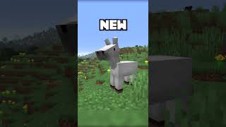 new baby horses in minecraft???