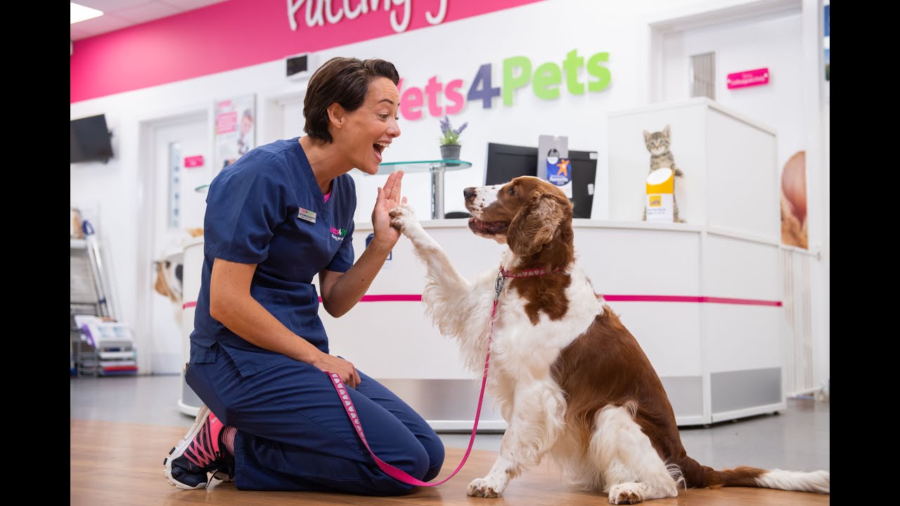 How to become a Joint Venture Partner