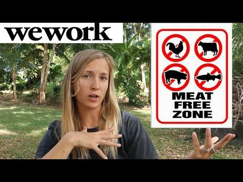 Should Companies Ban Meat Meals? | WeWork Goes Environmental - Should Companies Ban Meat Meals? | WeWork Goes Environmental
