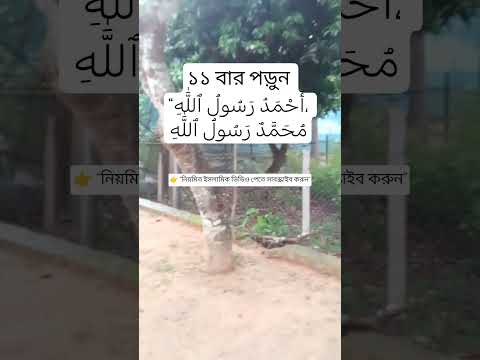 ১১ বার পড়ুন #IslamicReminder #AllahIsWithYou #Faith #Dua #IslamicVideo #unfrezzmyaccount #sad #love