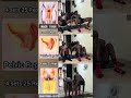 Best Kegel Workout. #viral #trending #fyp #sports