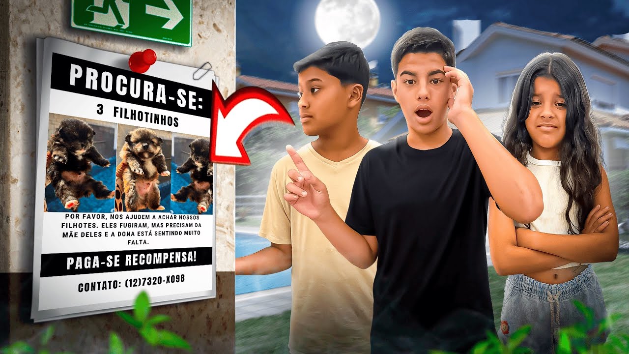 DEIXARAM 3 CACHORROS NO MEU PORTÃO *DE QUEM SERÁ? 