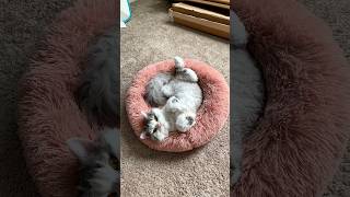 Funny Boy