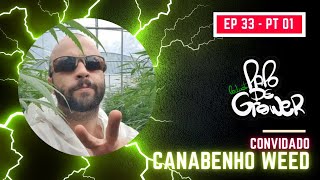 Cultivo Comercial na Tailândia com Canabenho Weed - PAPO DE GROWER - #EP 33 PT 01